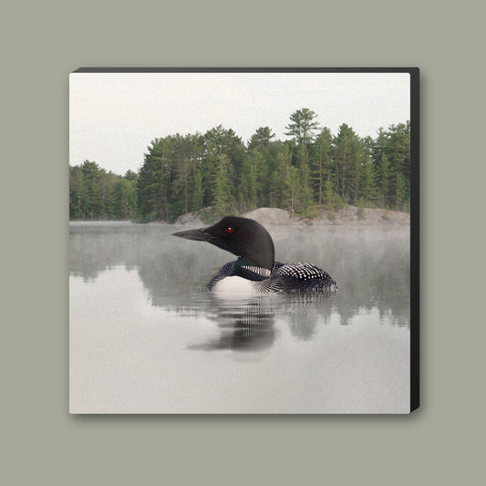 Lake Loon Wrapped Canvas Print