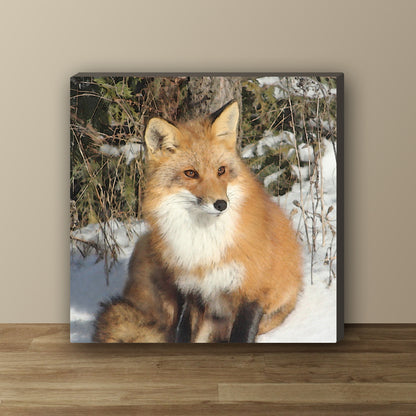 Beautiful Fox Wrapped Canvas Print