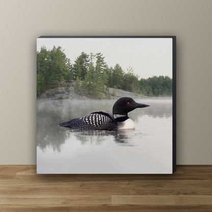 Loon on the Water Wrapped Canvas Print