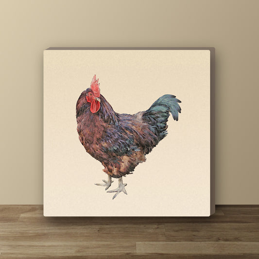 Rhode Island Red Rooster Wrapped Canvas Print