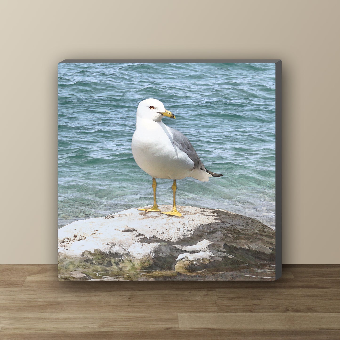 Seagull by the Shore Wrapped Canvas Print