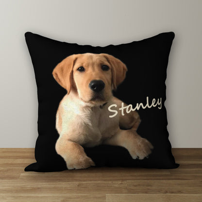 Personalized Photo Pillow Made to Order, 20"x14" or 18"x18"