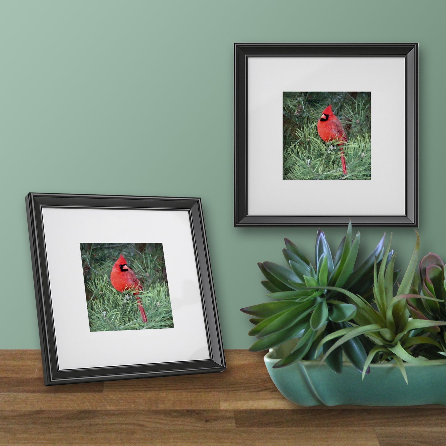 Red Cardinal Designer Greeting Card