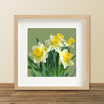 Daffodil Bouquet Fine Art Print, Unframed