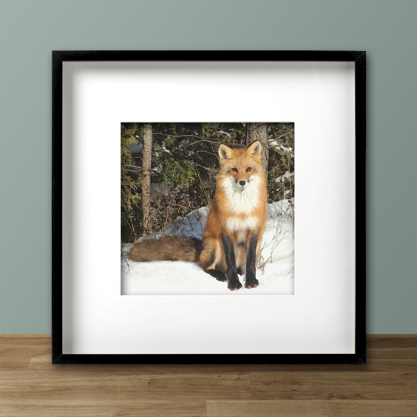 Set of 2 Wild Fox Fine Art Prints, Unframed