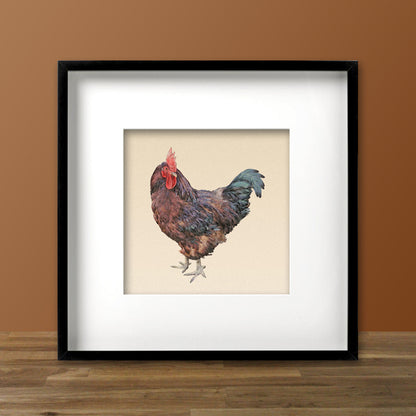 Rhode Island Red Rooster Fine Art Print, Unframed