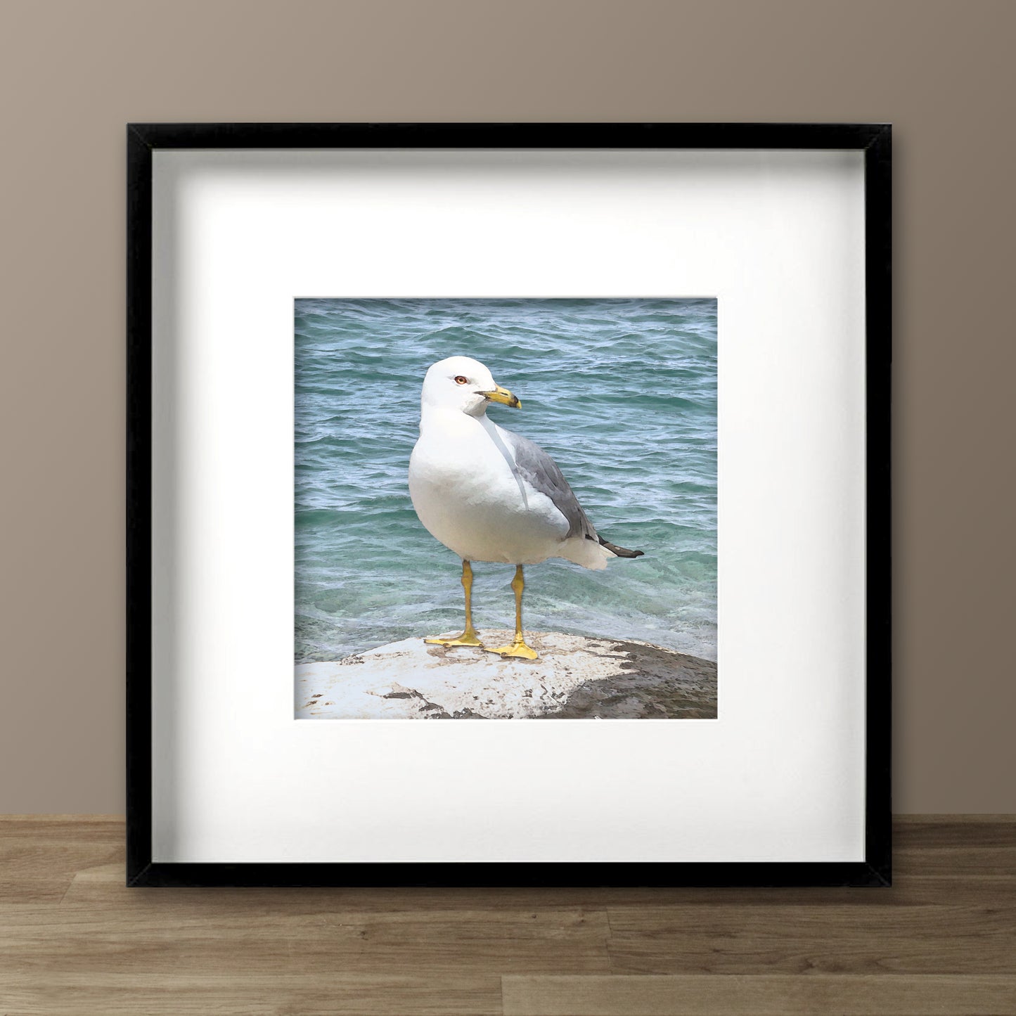 Seagull by the Shore Fine Art Print, Unframed