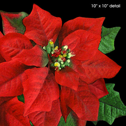 Set of 2 Poinsettia Designer Christmas Pillows, 20"x14" and 18"x18"