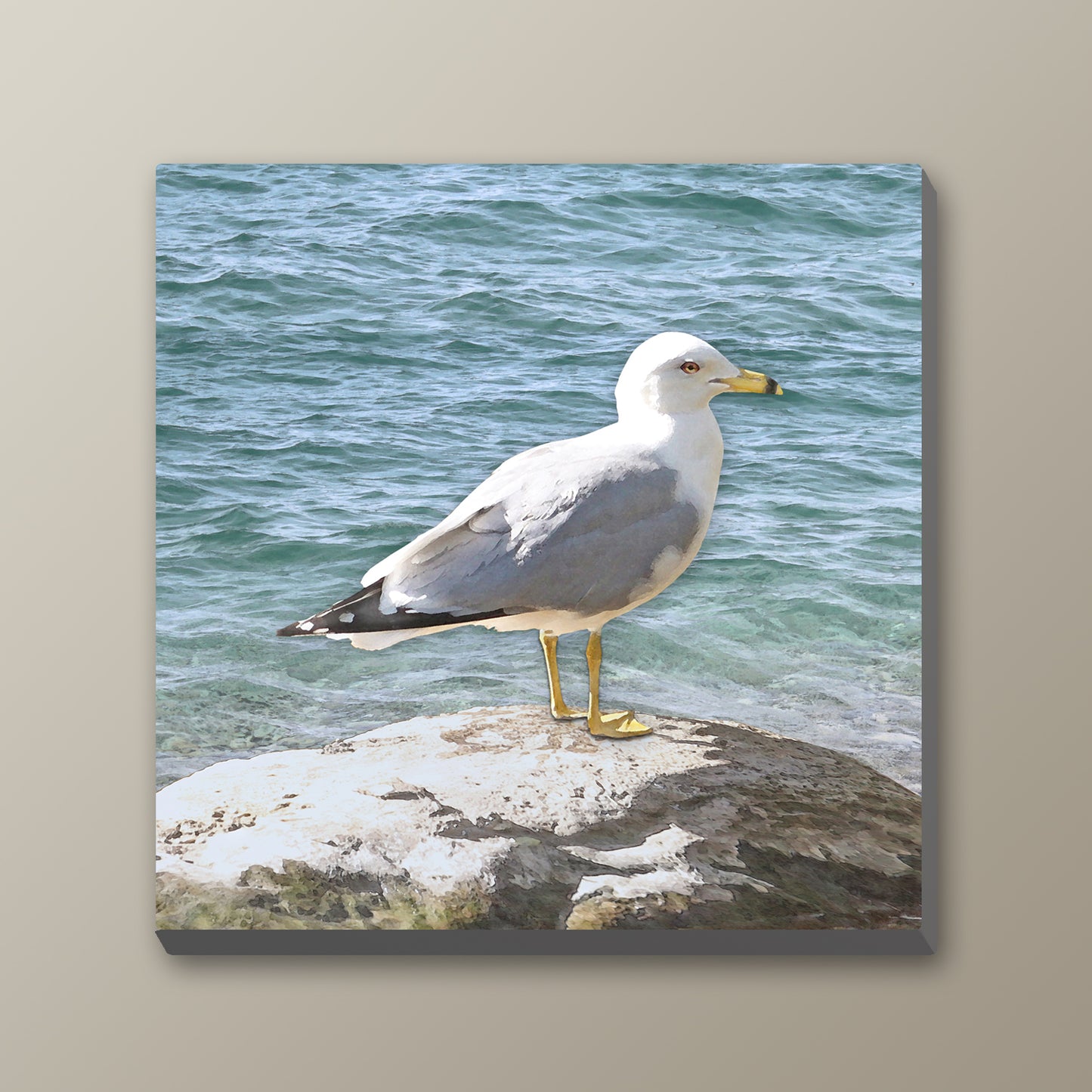 Set of 2 Seagull Wrapped Canvas Prints
