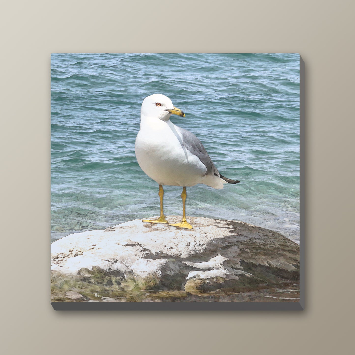 Set of 2 Seagull Wrapped Canvas Prints