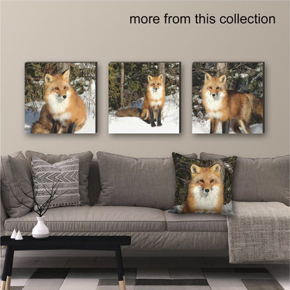 Set of 2 Wild Fox Fine Art Prints, Unframed