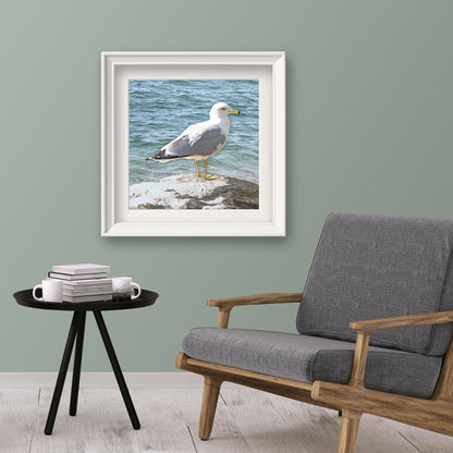 Seagull on a Rock Fine Art Print, Unframed