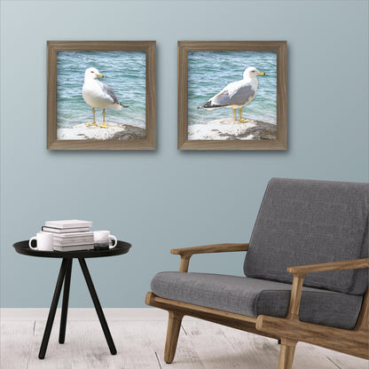 Set of 2 Seagull Fine Art Prints, Unframed