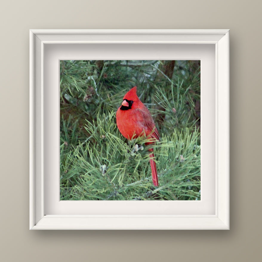 Cardinal in Tree Fine Art Print, Unframed