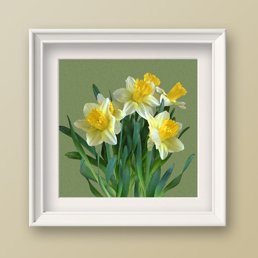 Daffodil Bouquet Fine Art Print, Unframed