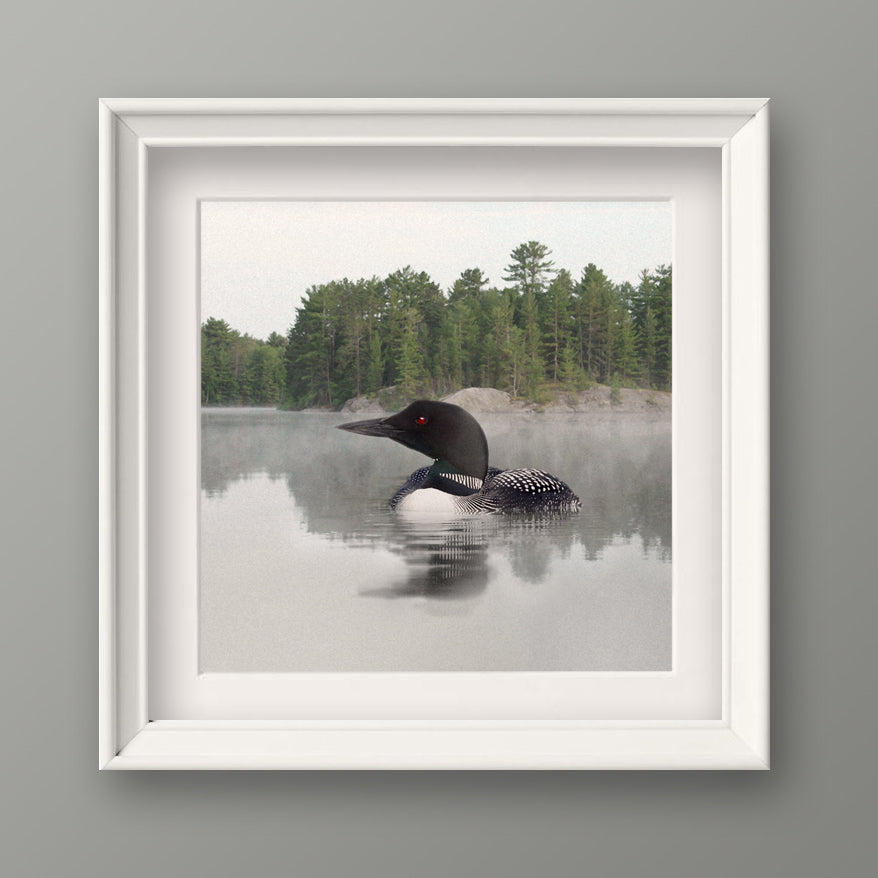 Lake Loon Fine Art Print, Unframed
