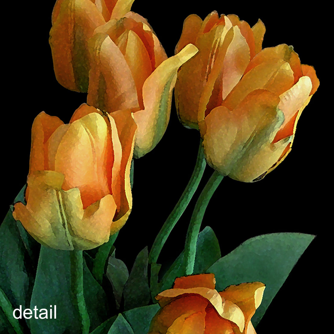 Tulips on Black Designer Greeting Card