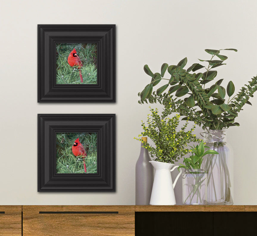 Set of 2 Cardinal Fine Art Prints, Unframed