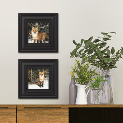 Set of 2 Wild Fox Fine Art Prints, Unframed