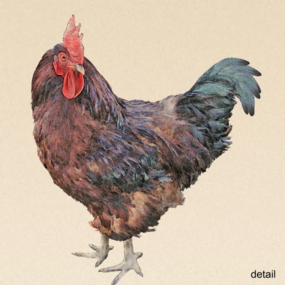 Rhode Island Red Rooster Fine Art Print, Unframed