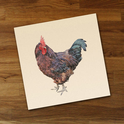 Rhode Island Red Rooster Fine Art Print, Unframed