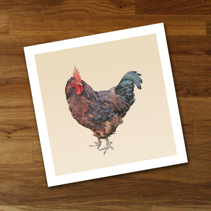 Rhode Island Red Rooster Fine Art Print, Unframed